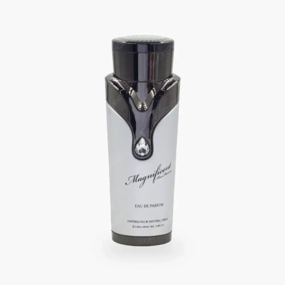 Armaf - Magnificent Pour Homme (100 ML)