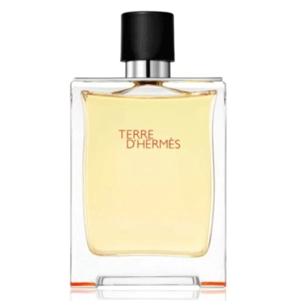 Hermes – Terre D'Hermes EDT (100ML)